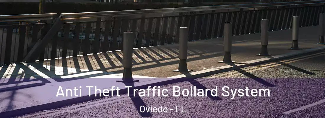 Anti Theft Traffic Bollard System Oviedo - FL
