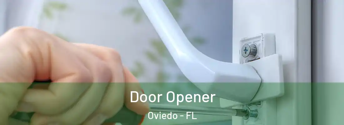 Door Opener Oviedo - FL